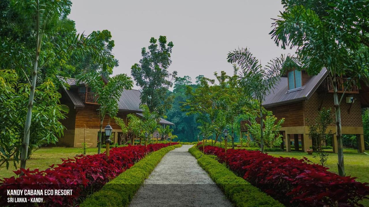 Kandy Cabana Dış mekan fotoğraf